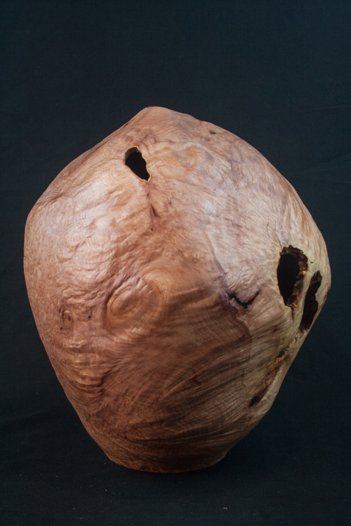 132 Madrone Burl Distorted Hollow Form 12 x 10