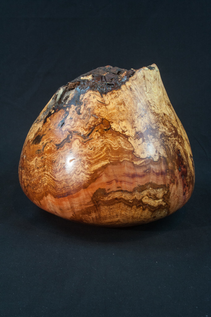 42A Madron Burl Natural Edge Hollow Form 8 x 7,5 ...... $239.........SOLD