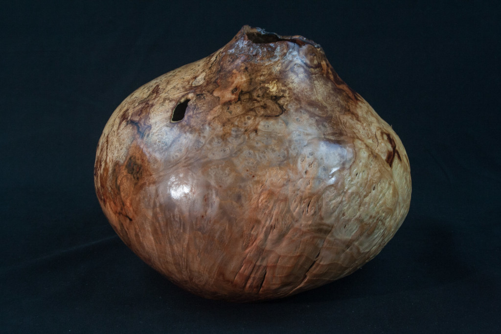 52A Madron Burl Distorted Natural Edge Hollow Form 8 x 8