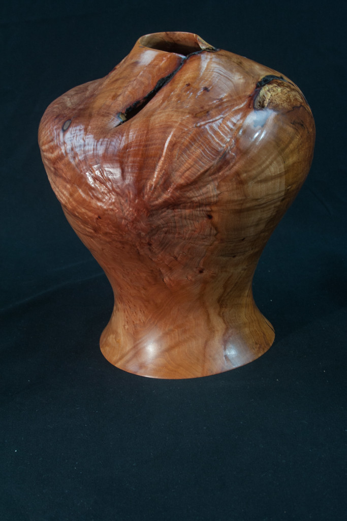 54 Madron Burl Distorted Hollow Form 8 x 9 ......... $525.......SOLD
