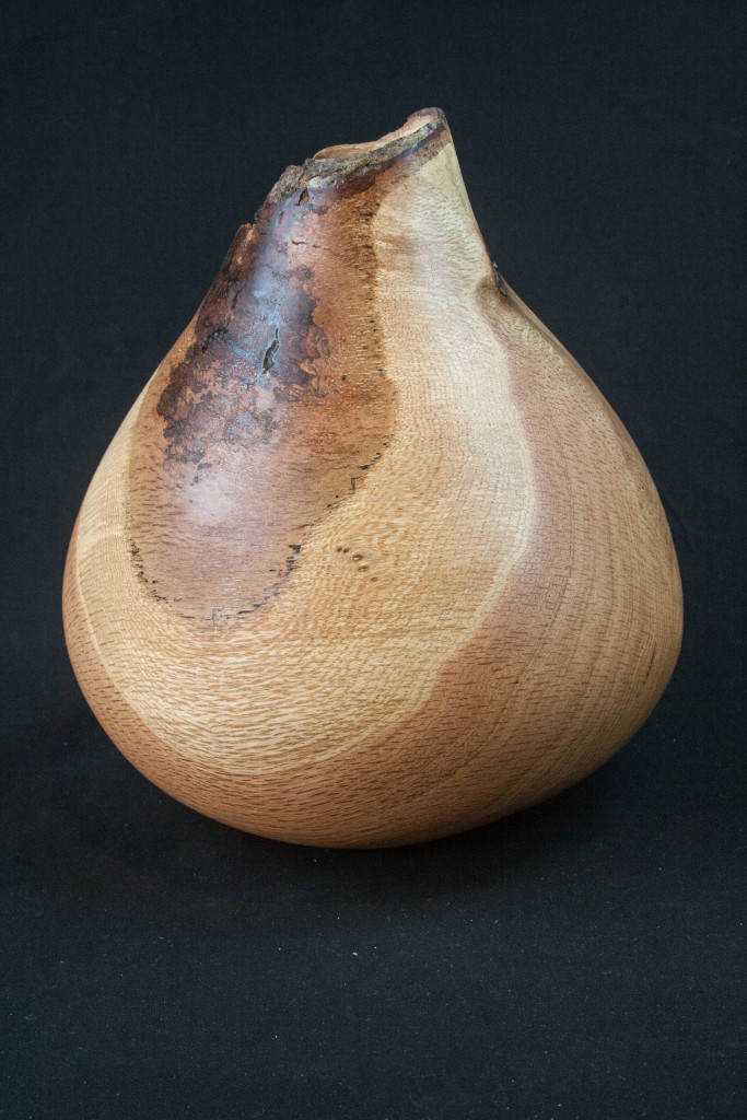 109 Red Oak Natural Edge Hollow Form 8.5 x 7 ................ $139