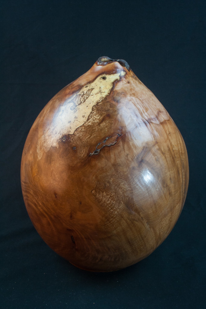 139A Splated Madrone Burl Distorted Natural Edge Hollow Form 10 x 12......$695