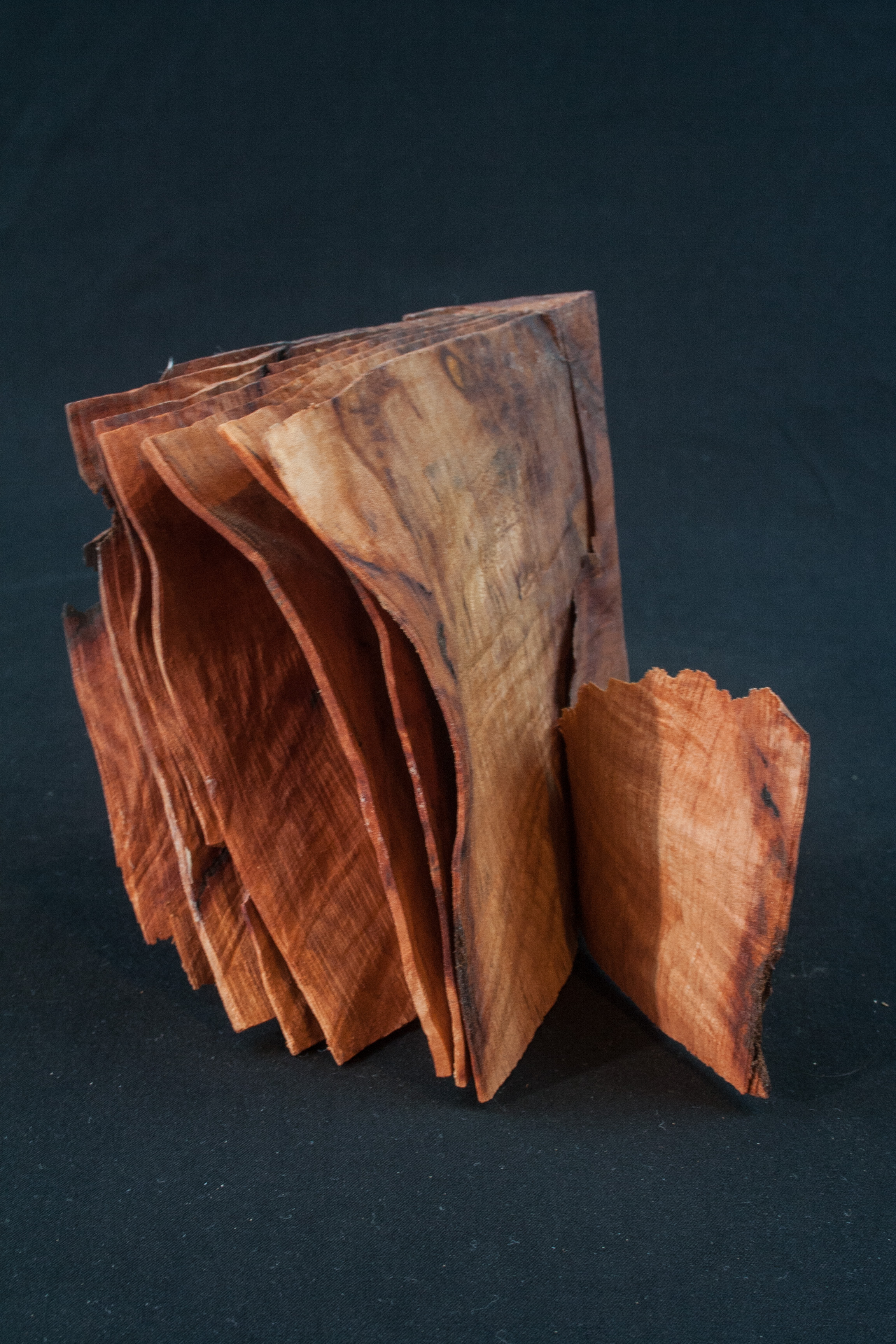 101 Madrone Root Distorted Book 5 x 4,5......$59.....Currently displayed at "Dan McGeorge Gallery" in Jacksonville Oregon.....SOLD