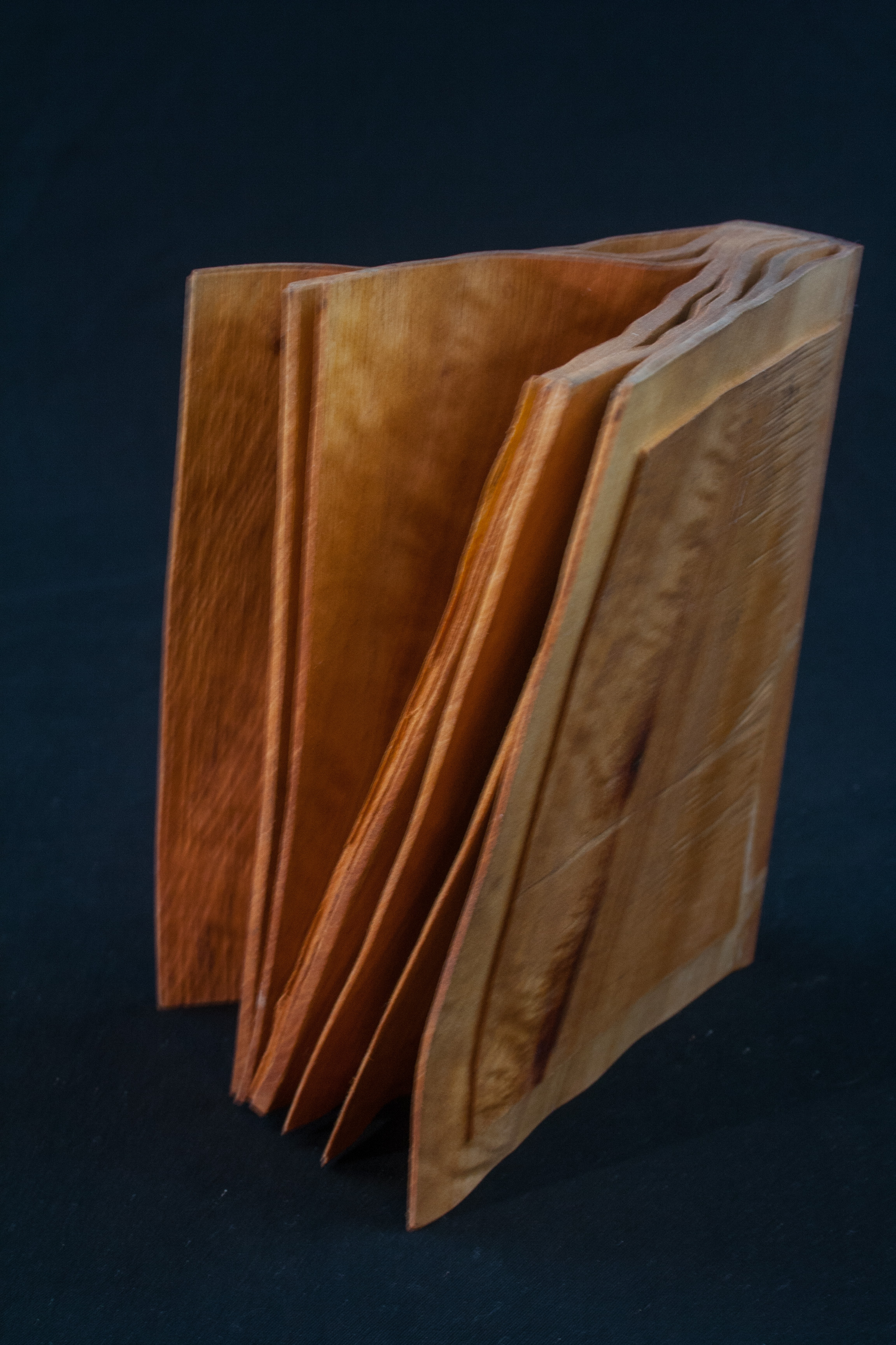 102B Madrone Root Distorted Book 4 x 6......$59