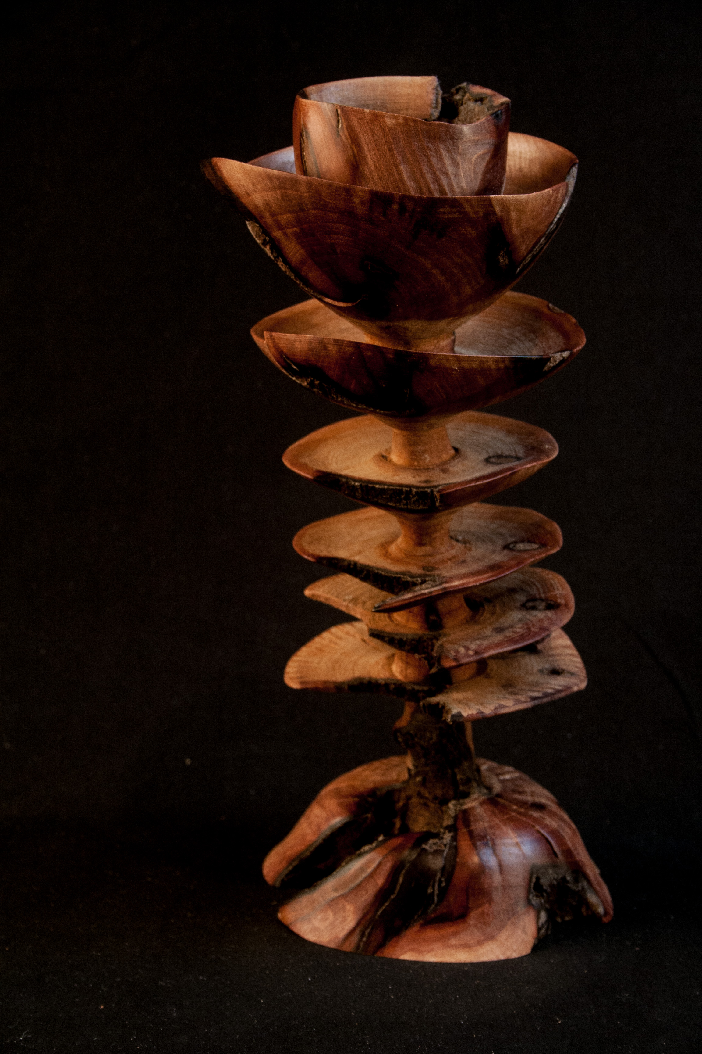 166 Madrone root distorted 4 x 9.5.....$39...........SOLD